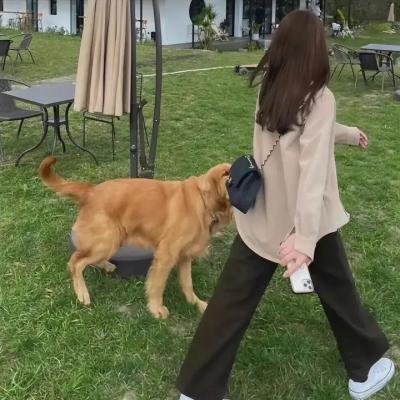 母女大战